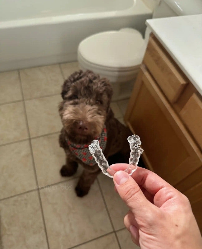 Cute dog Coco with a chewed up Chomper Labs night guard.