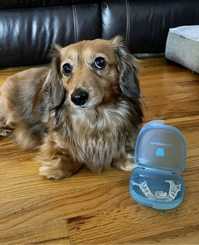 Cute dog Marley with a chewed up Chomper Labs night guard.