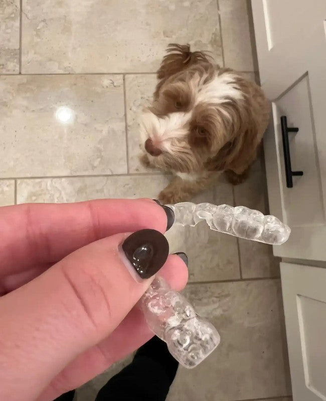 Cute dog Riley with a chewed up Chomper Labs night guard.