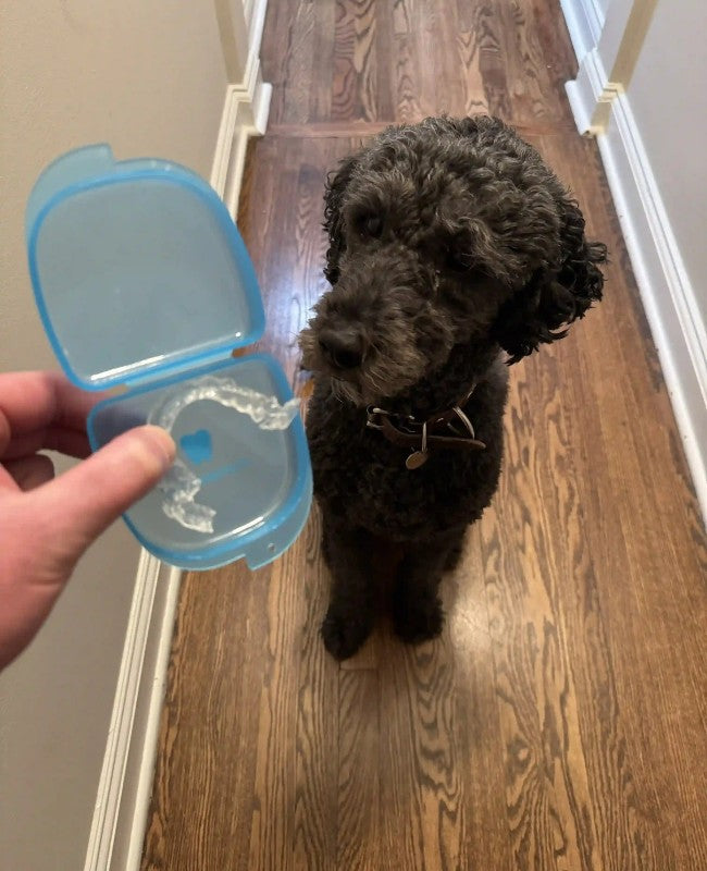 Cute dog Sydney with a chewed up Chomper Labs night guard.